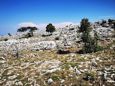 Sveti Ilija 961m — fotografia 5