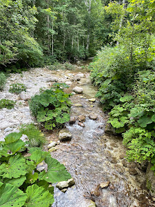 The Water Footpath — fotografia 4