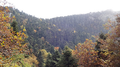Dirfi — fotografia 3
