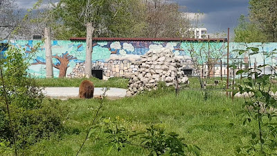 Grădina Zoologică Târgoviște — fotografia 2