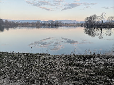 Ribnik Vrbje — fotografia 5