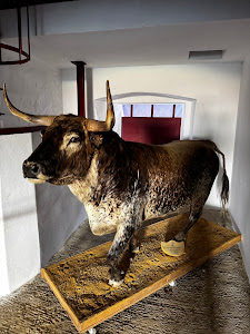 La Malagueta Tour - Museo Taurino de Málaga — fotografia 5