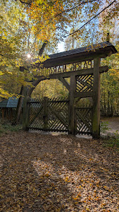 Białowieża National Park — fotografia 4