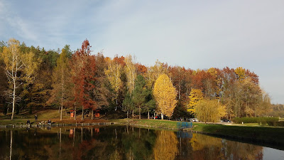 Gyertyánosi Parkerdő — fotografia 3