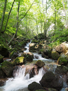 Slovak Karst — fotografia 4