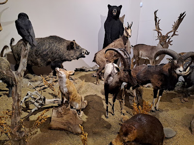 Natural History Museum of Meteora and Mushroom Museum — fotografia 5