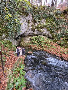 Pliva Springs