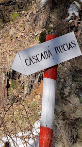 Cascada Buciaș — fotografia 2