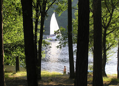 Forest campground Nebrich — fotografia 4