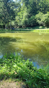 Angelpark Mannebach