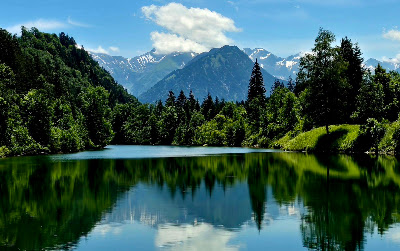Auwaldsee