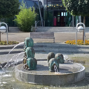 Obermain Therme — fotografia 5