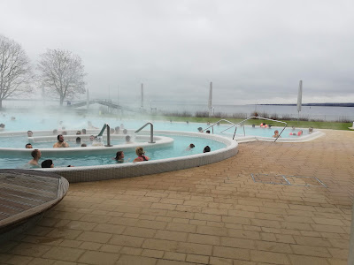 Bodensee-Therme Konstanz — fotografia 4