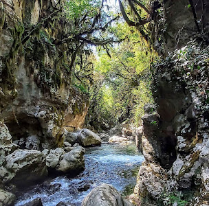 Oasi WWF Grotte del Bussento — fotografia 4