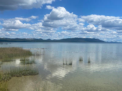 Vransko jezero - ulaz za posjetitelje, info centar Crkvine — fotografia 5