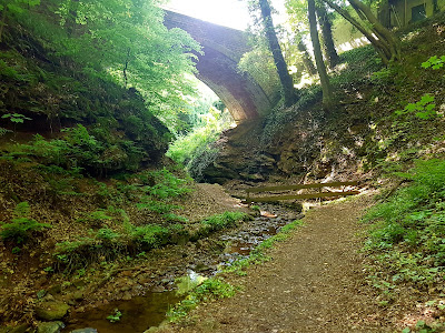 Seltenbachschlucht — fotografia 3