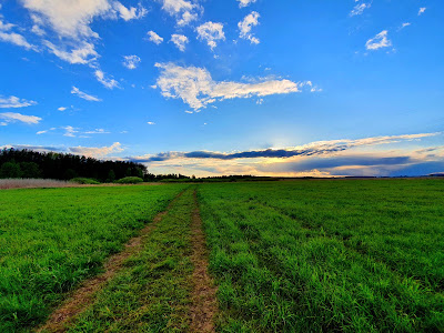 Narew National Park — fotografia 5