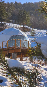 Zenzia Glamping (Adults Only and Kids 14 Plus)