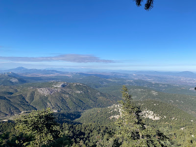Tatoi Forest — fotografia 4