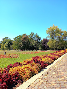 Câmpul Tineretului - Youth Park — fotografia 5