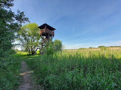 Merzse Swamp Nature Reserve — fotografia 3