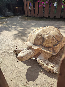 Zoo Kontakt — fotografia 5