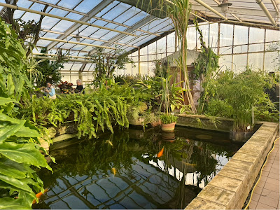 Botanical Garden UPJŠ — fotografia 3