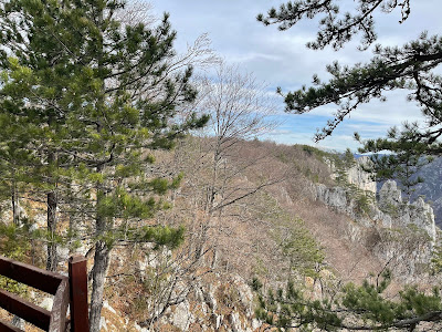 Видиковац Соколарица - Sokolarica Viewpoint — fotografia 5