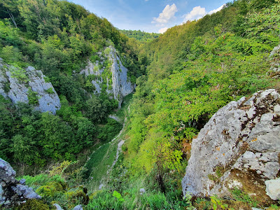 Cheile Cuților