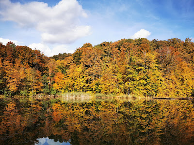 Adrenalin Plus ,Lacul Tineretului — fotografia 4
