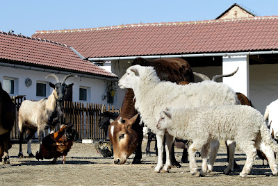 Zoo Park Vyškov