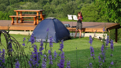 Alexandrovo Camping — fotografia 5