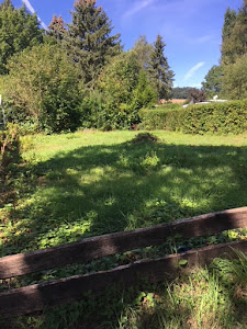Camping Finsterhof — fotografia 5