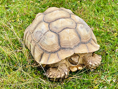 FAUNAPARK ZOO — fotografia 5
