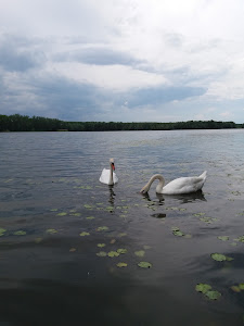 Парк природе Бегечка јама — fotografia 4