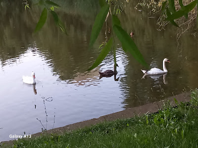 Parcul Morarilor — fotografia 4