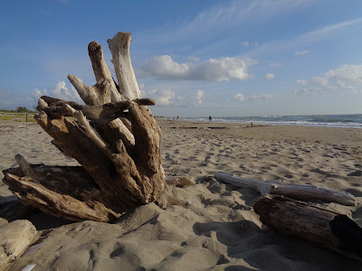 Spiaggia libera di Lido di Dante — fotografia 5