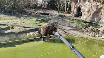 Palić Zoo — fotografia 2