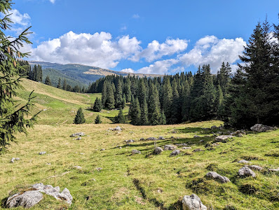 Valea Horoabei — fotografia 4