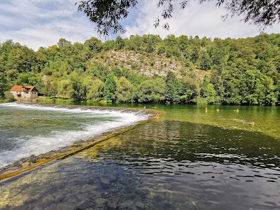 STARI POD Kamp Jankovic — fotografia 4