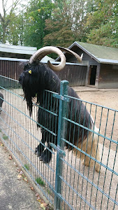 Mönchengladbach Zoo — fotografia 2