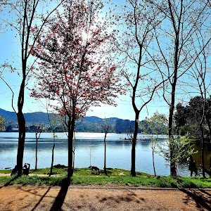 Tirana Lake Park — fotografia 3