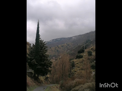 Vía Verde de Sierra Nevada — fotografia 3