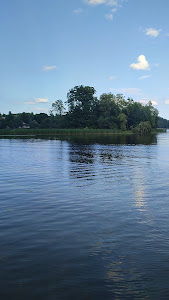 Dzika Gęś — fotografia 2