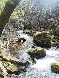 Inicio sendero rio Majaceite — fotografia 4