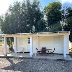 Agricampeggio Gli Ulivi — fotografia 3