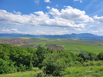 Dealul Lempeș — fotografia 3