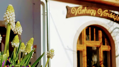 Várhegy vendéglő — fotografia 4