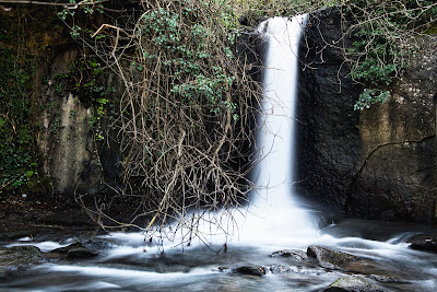 Cascate di Monte Gelato — fotografia 5