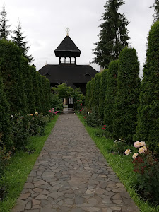 Mănăstirea Toplița — fotografia 5
